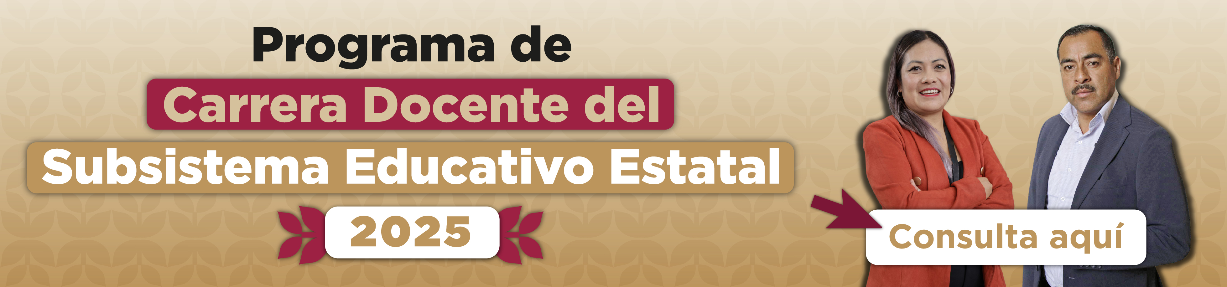 01 carrera docente