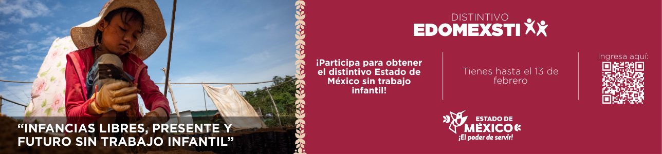 Distintivo EDOMEX STI