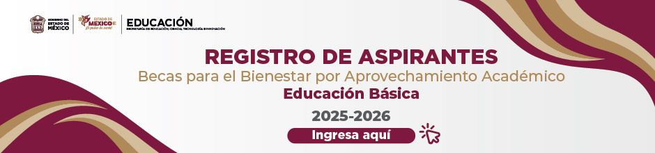 Becas Basica Registro