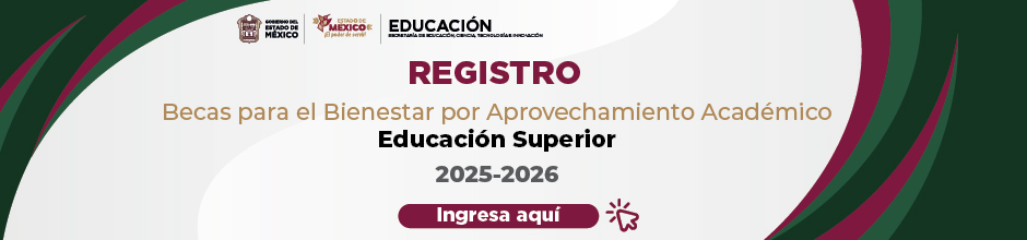 Registro Becas Educación Superior
