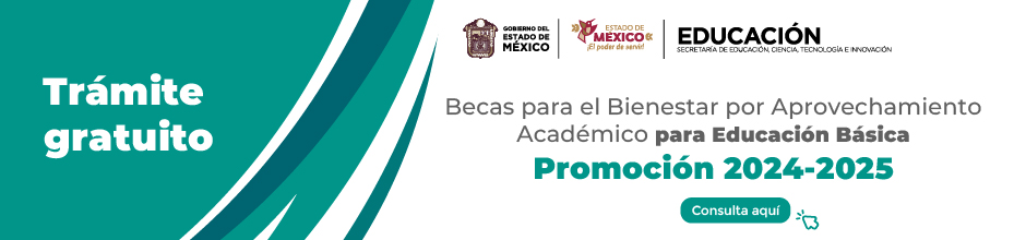 becas_basica