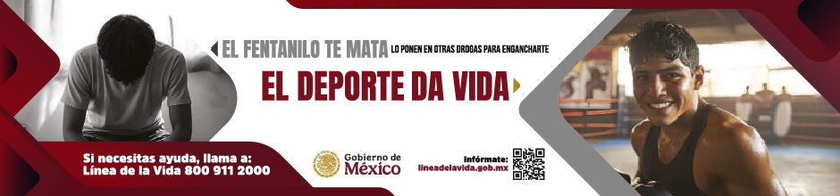 Línea de la vida