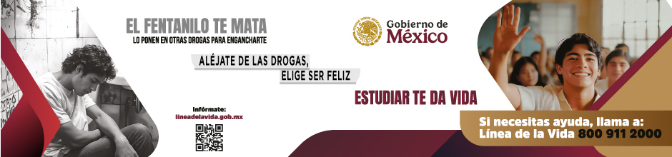 Línea de la vida