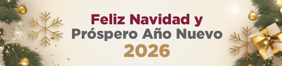 Feliz navidad y año nuevo